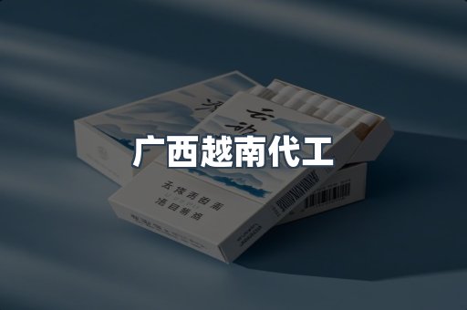 广西越南代工